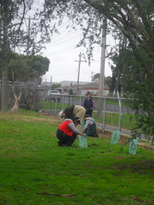 Students from the school planting 60 Green Drinks trees.