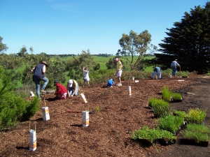Thirty six people attended the tree planting day. 