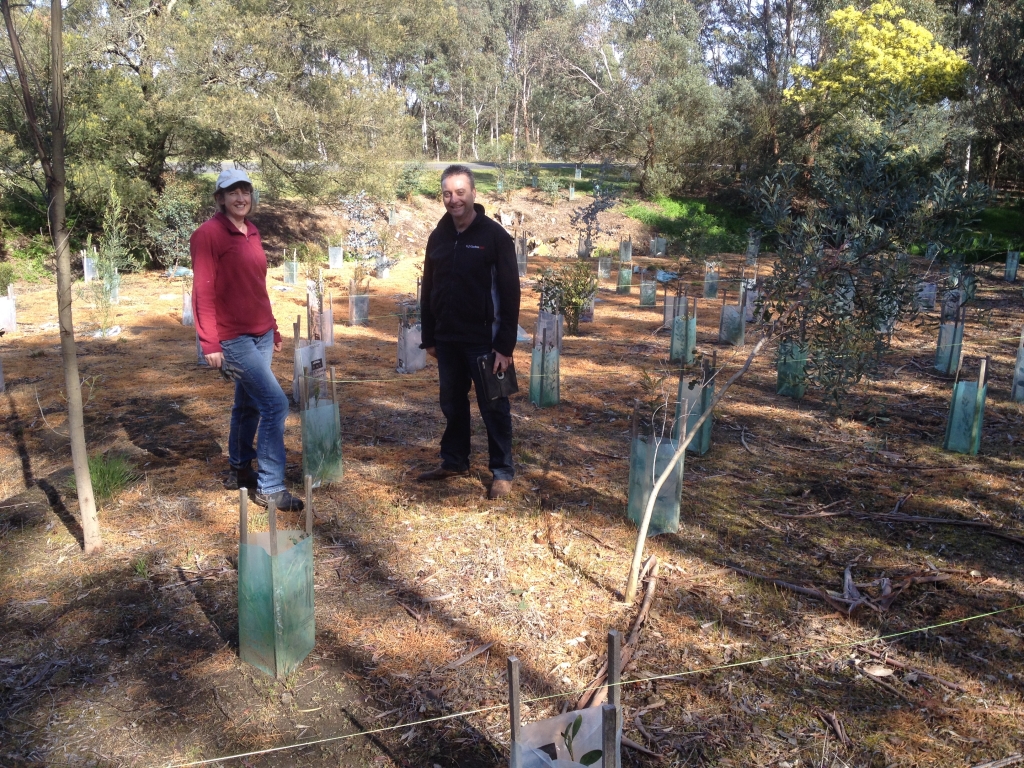 Allison and Rob tree planting at Buninyong.