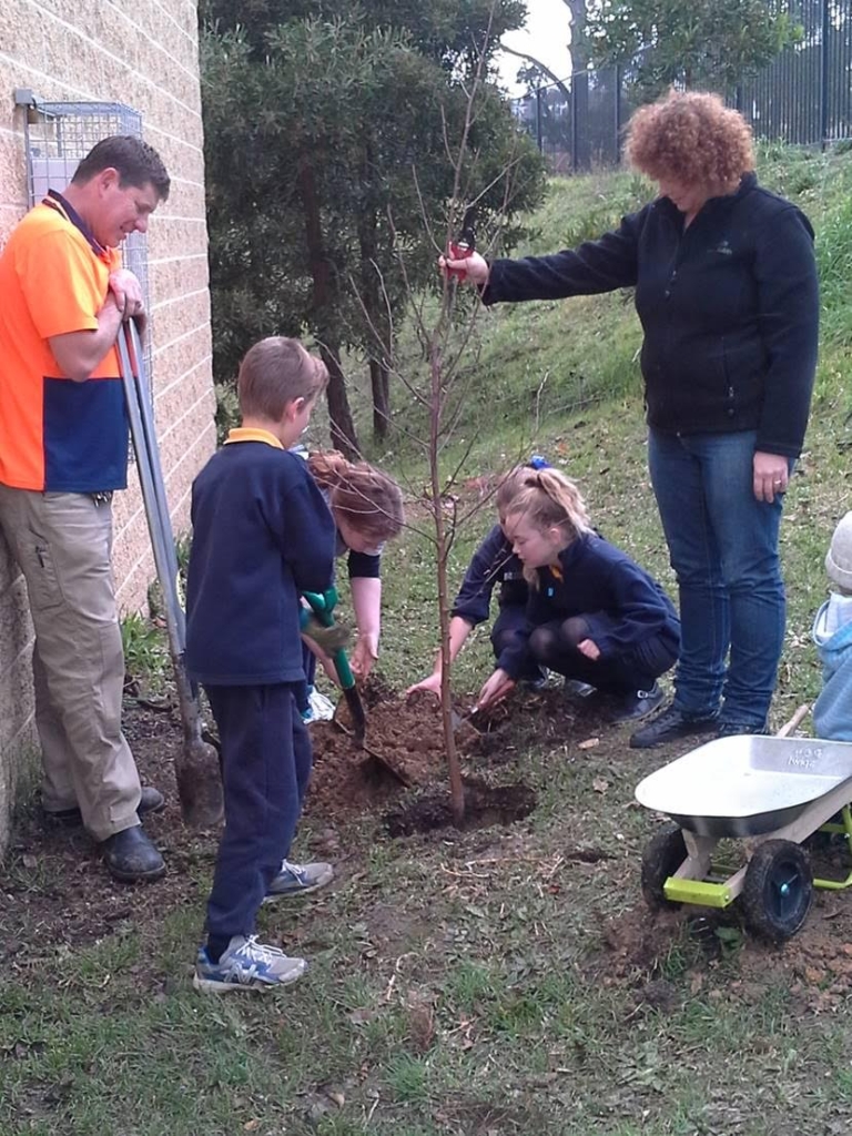 Students, teachers and parents working in the garden. 