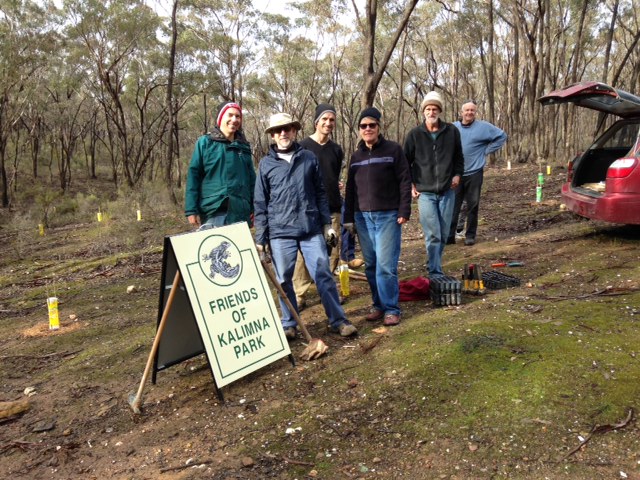 Friends of Kal Park on their tree planting day. 