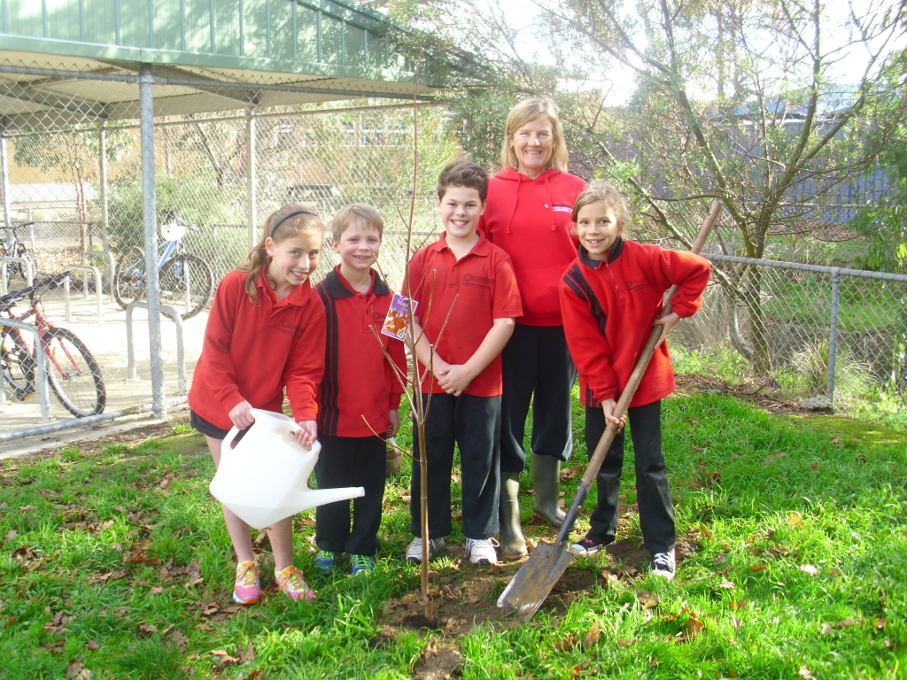 The photos show students from grades 1/2 and 3/4 who enjoyed planting the trees.