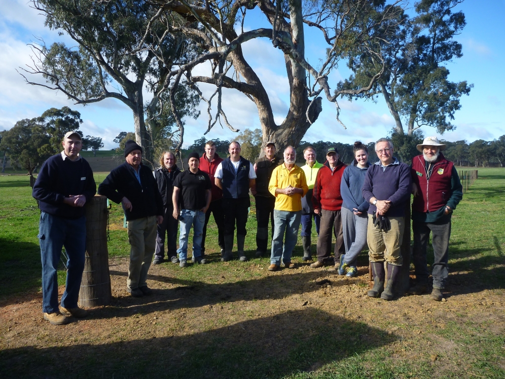 Robust group of tree planters. 