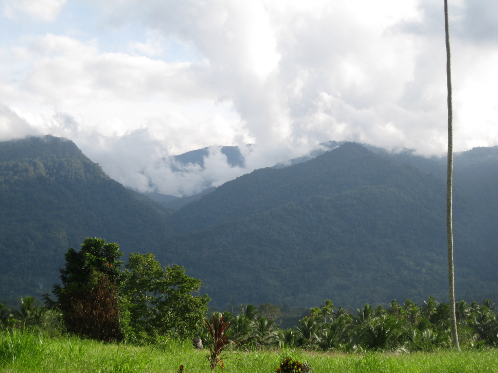 The wilds of PNG