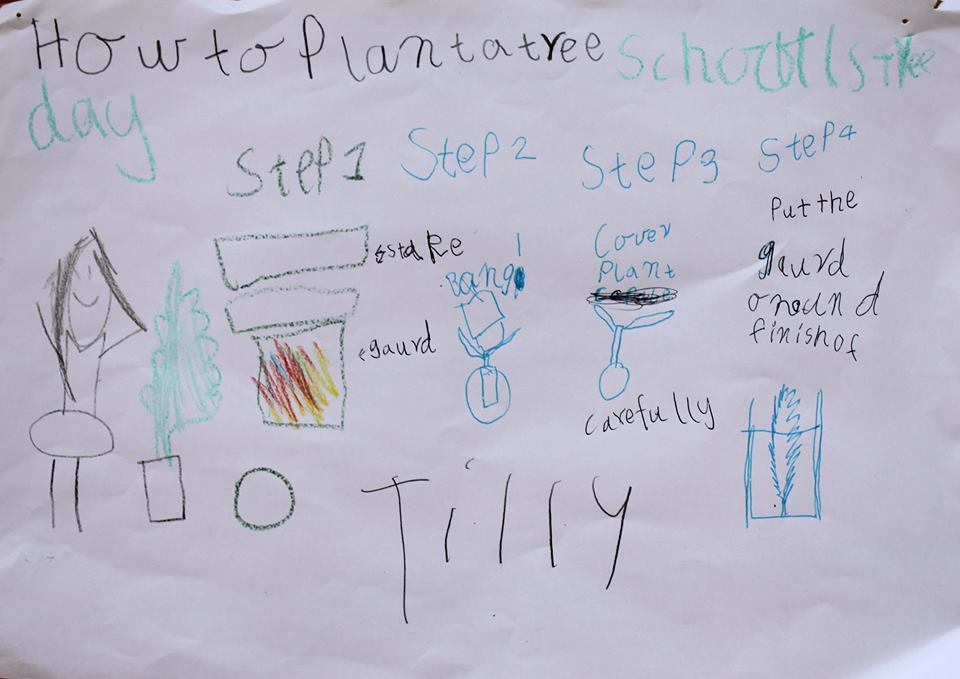 How to plant a tree. By Tilly