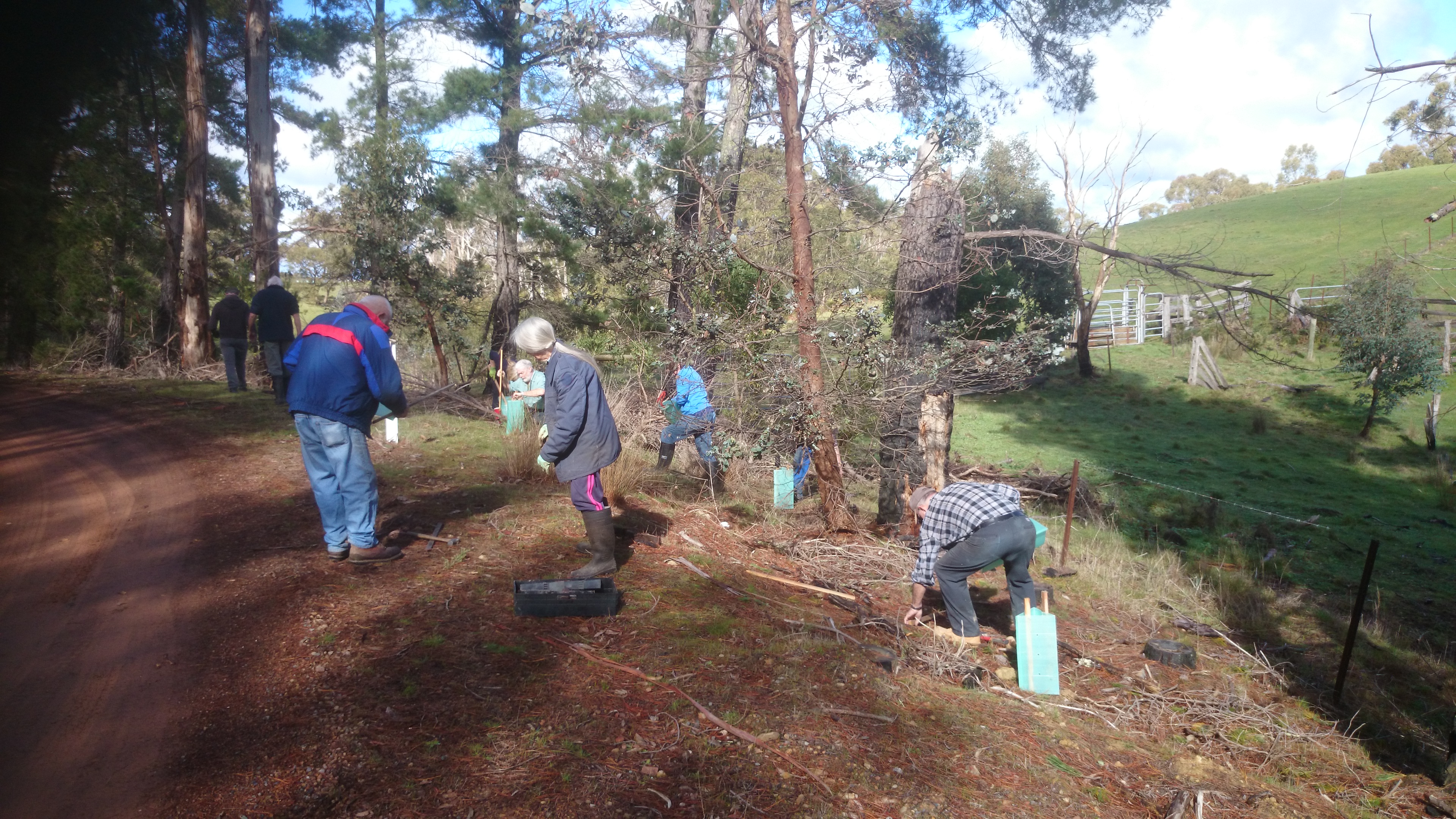 Flowerdale Landcare in action.