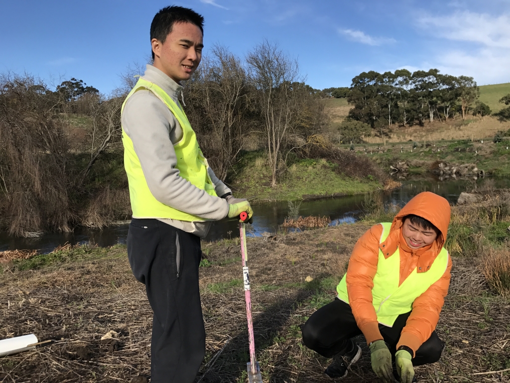 Volunteers from China planting at the Merri Creek. 
