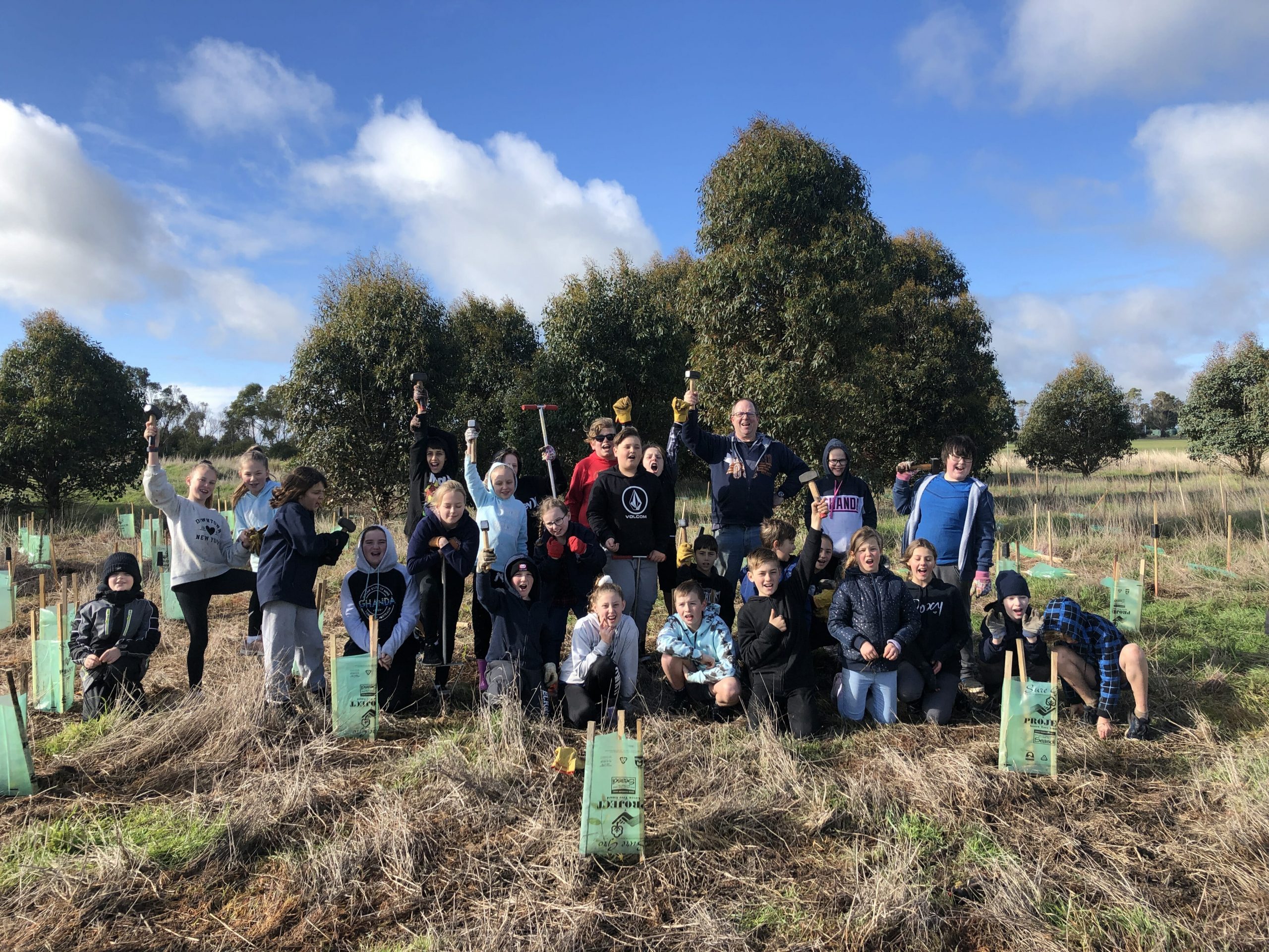 tree planting