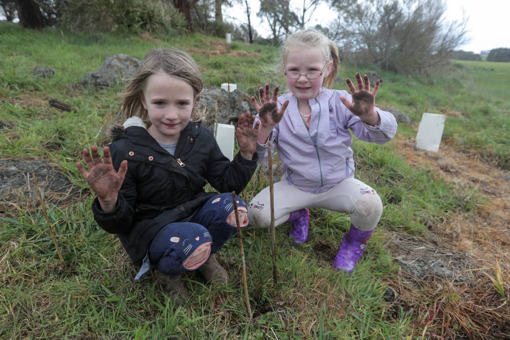 Tree planting