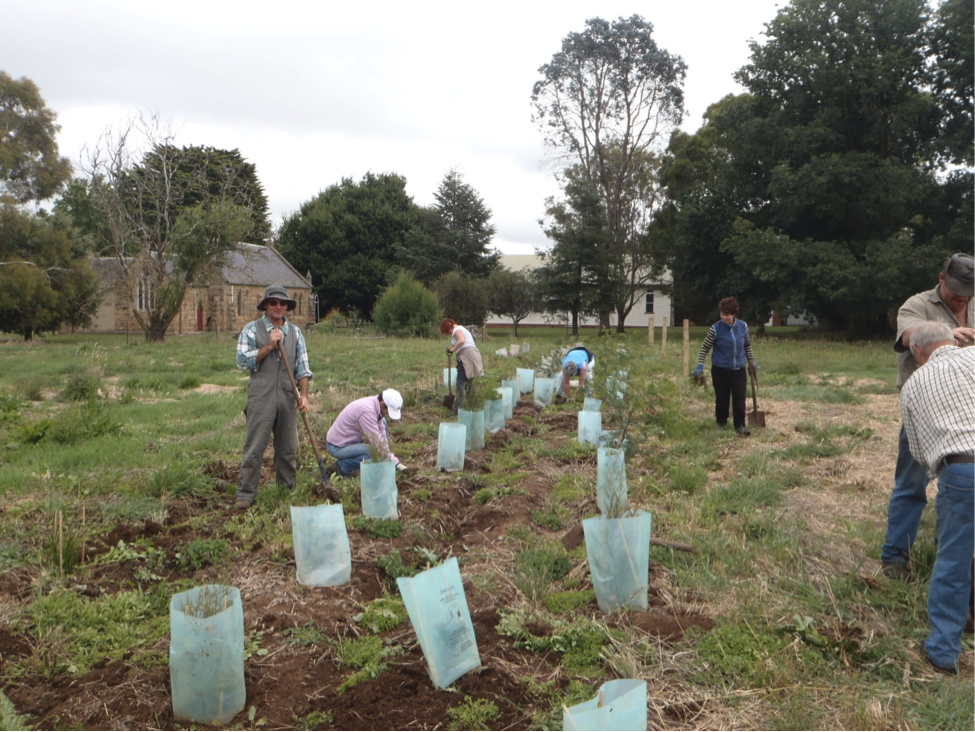 Planting day at Learmonth.