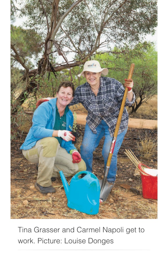 mothers day tree planting for carbon neutral events