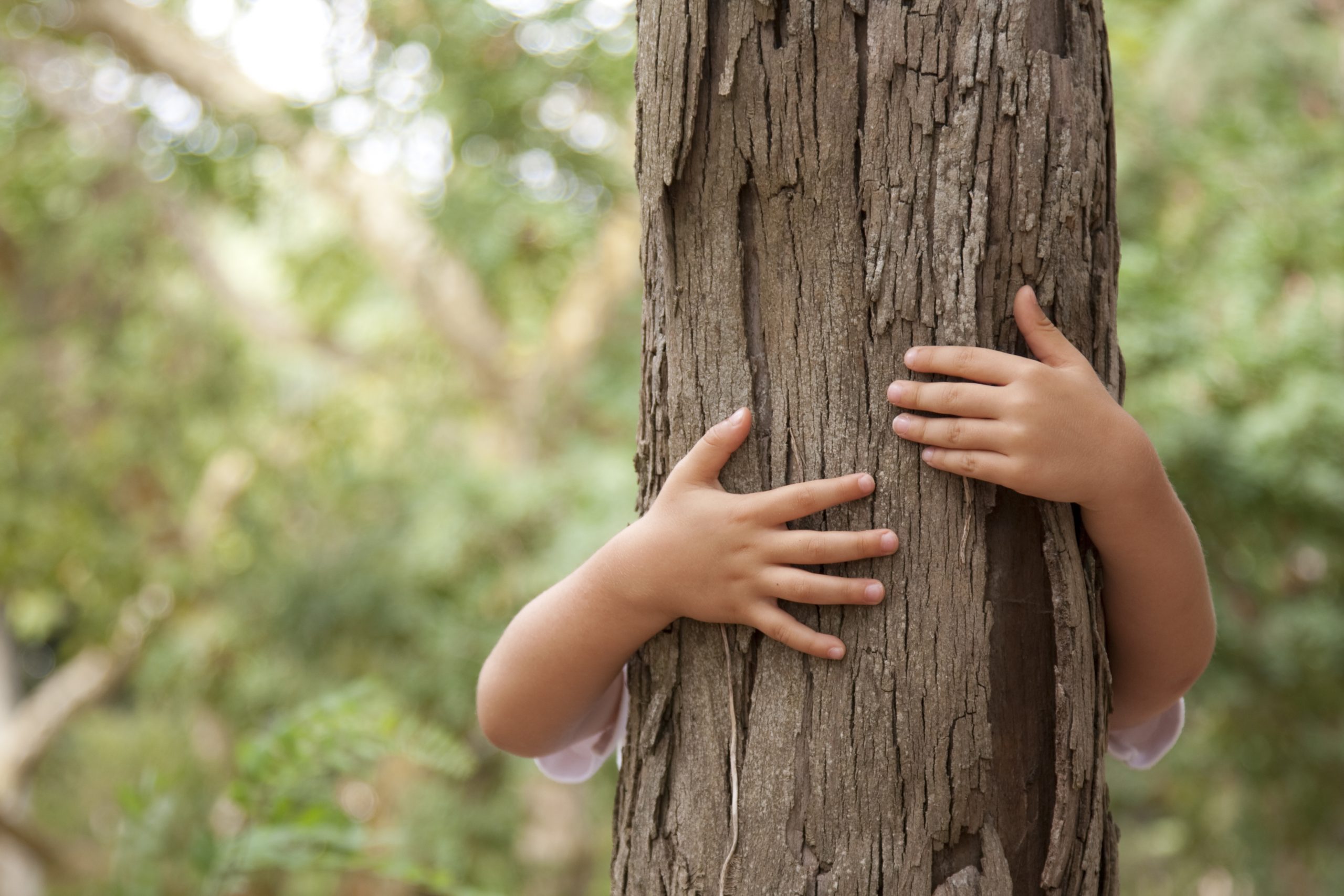 children's hand around a tree trunk