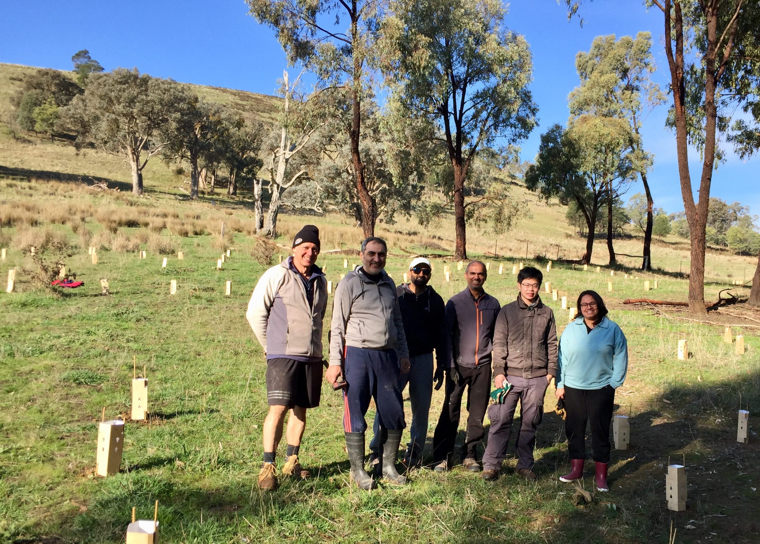 tree planting