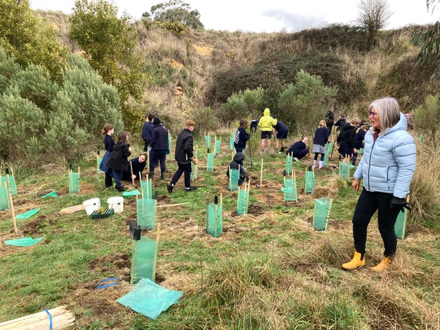 school teacher and students planting trees 