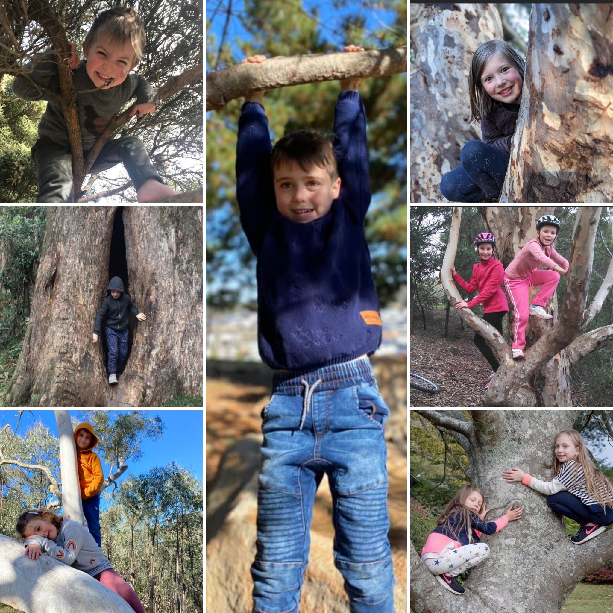 Kids in trees!