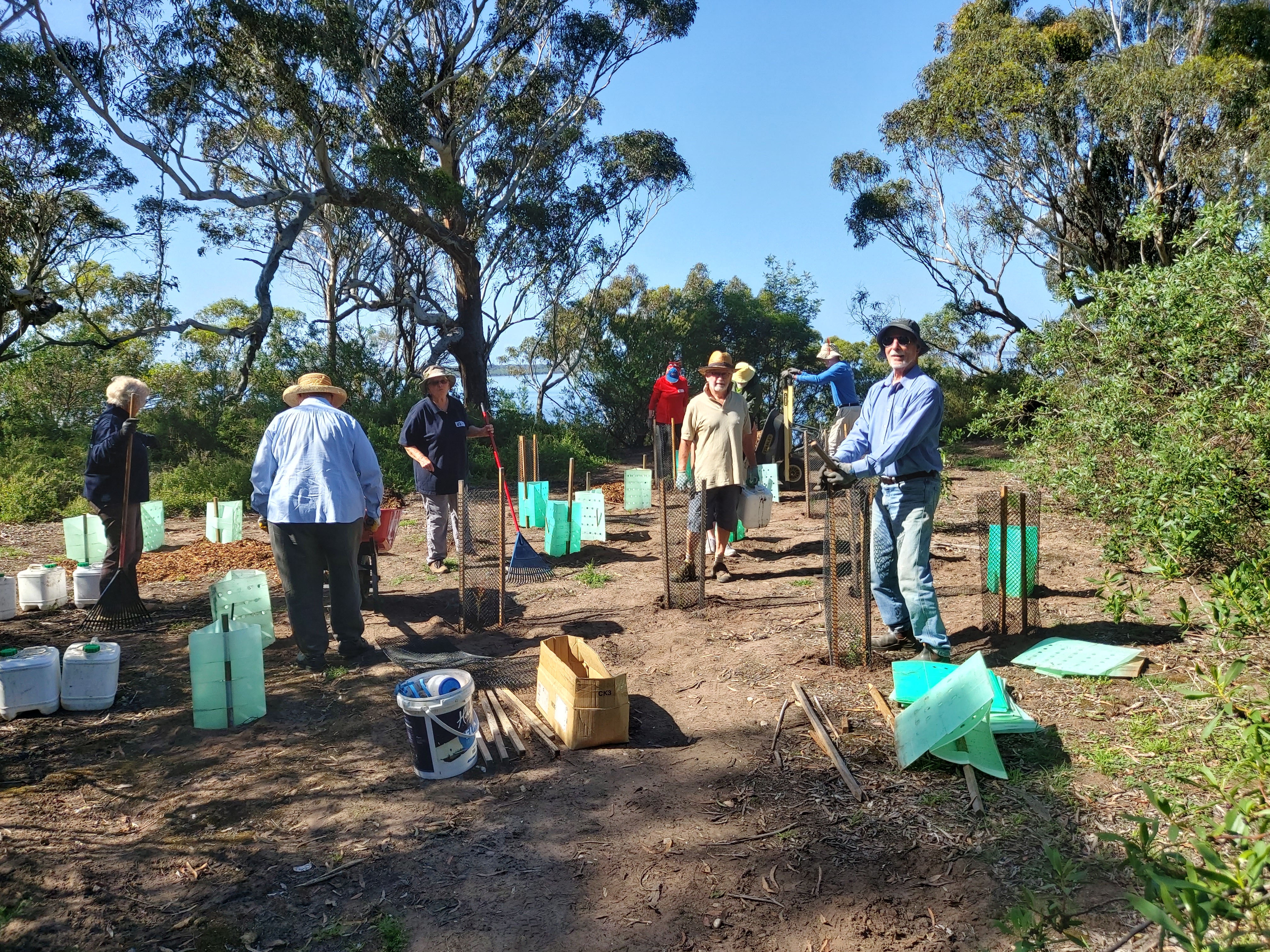 Photo of tree planting with Tambo Bluff