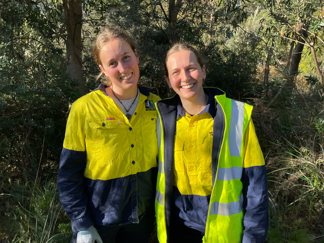 Tree planting volunteers