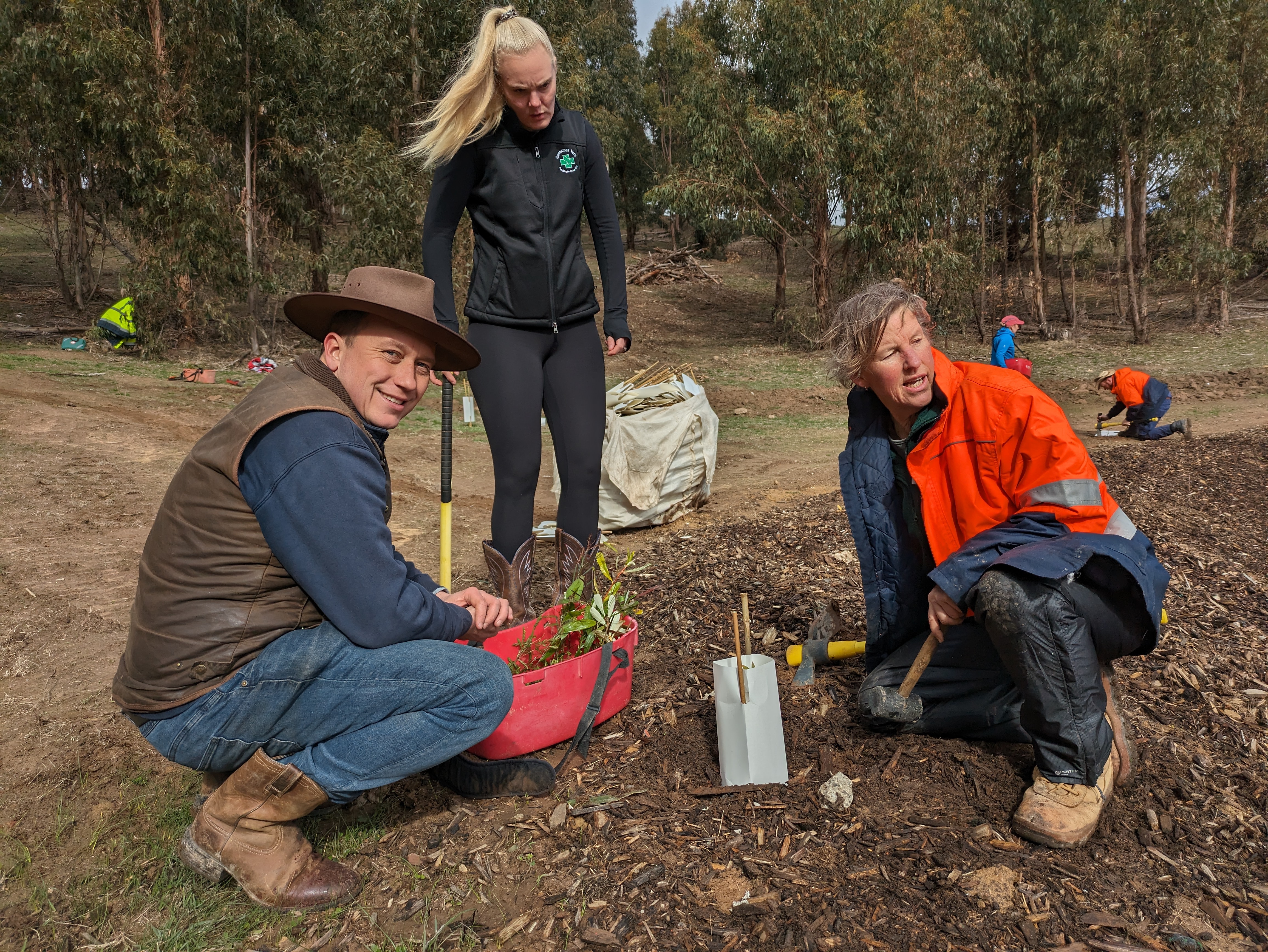 tree planting team