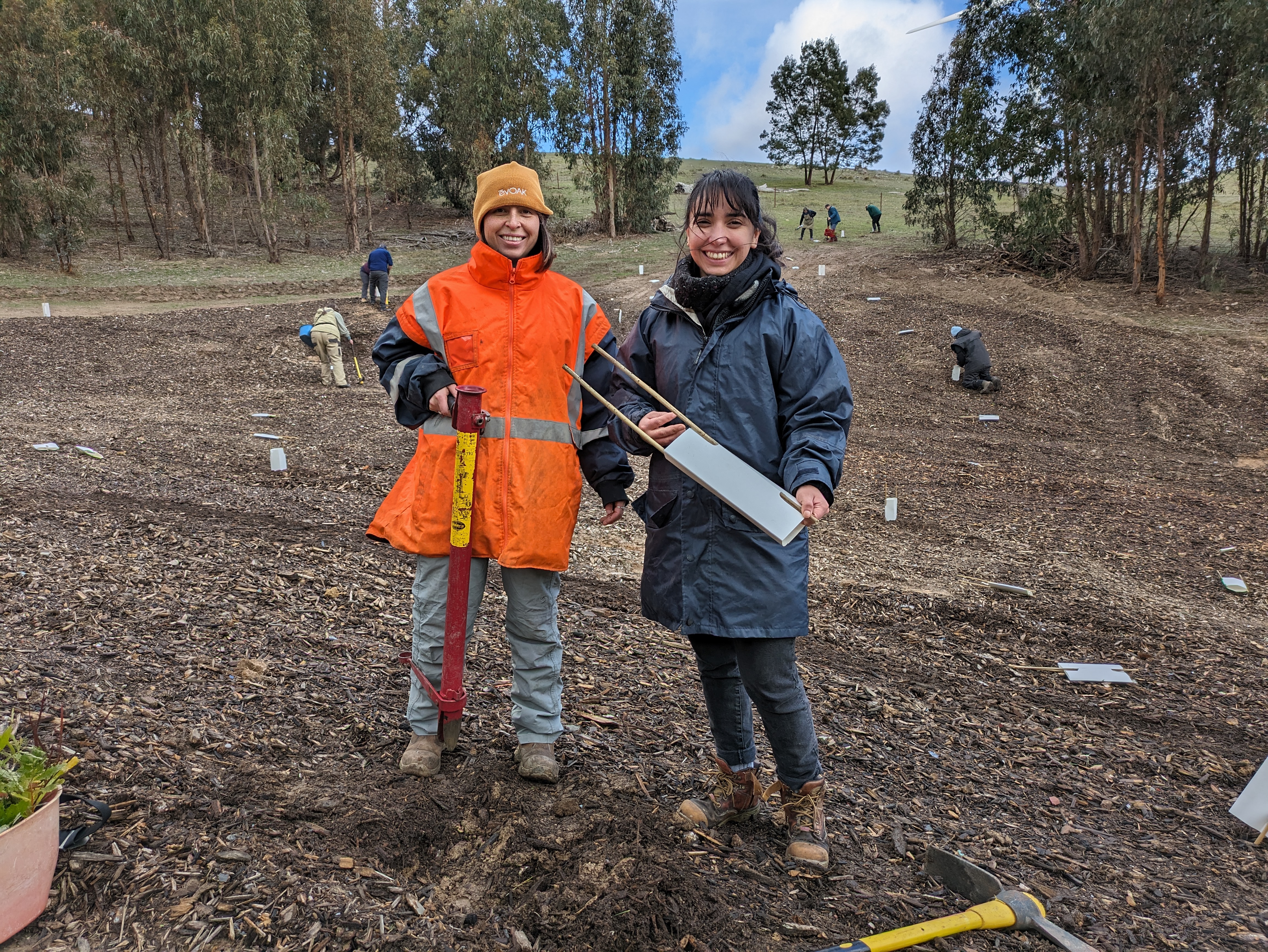 2 people tree planting